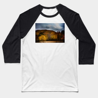 The Yellow Tree Baseball T-Shirt